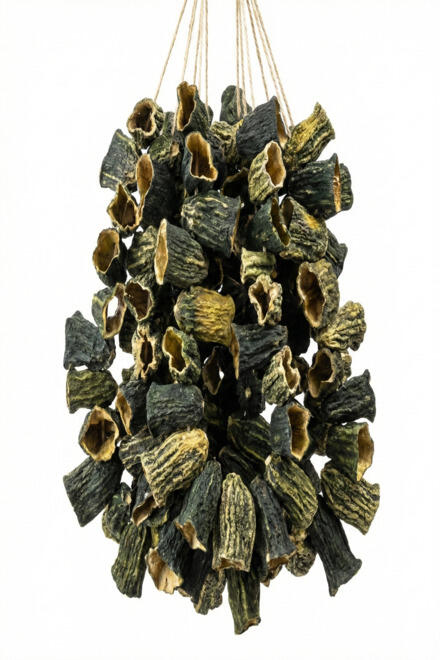 Acur Kuruluk